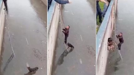 El video se viralizó en redes sociales.