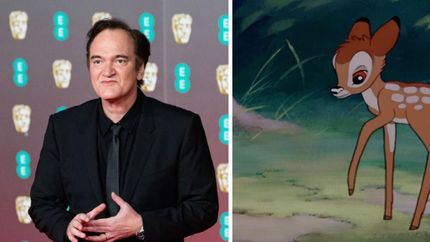 Confesión del director.