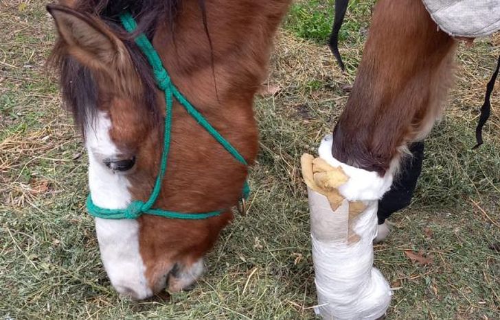 El torneo es a beneficio de Ángeles, que debe ser operada debido a una quebradura.