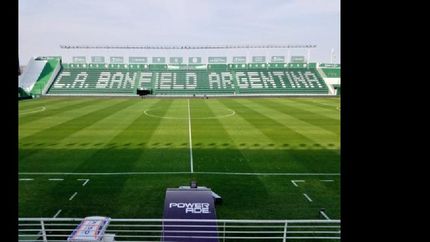 buscan concientizar sobre el cuidado del medio ambiente.