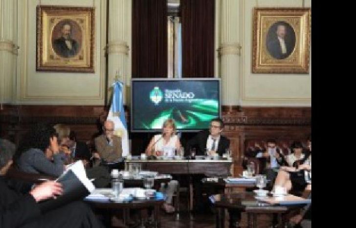 senado 1