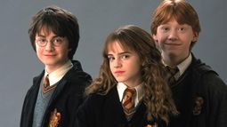 El actor participó de la saga de Harry Potter.