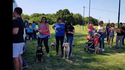 El promedio es de diez adopciones por encuentro.