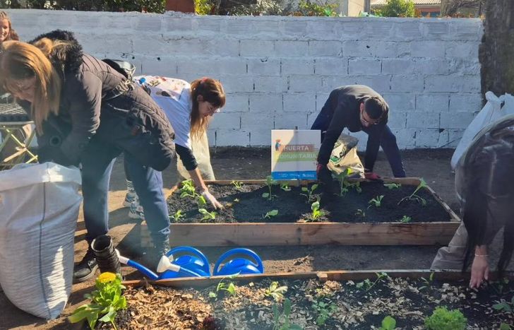Las huertas son creadas para la producción de alimentos saludables.