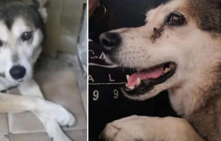 Ramona tenía 10 años y recibía el afecto de la gente del vecindario.