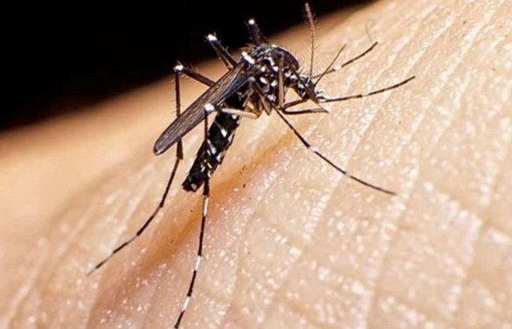 Confirman la primera muerte por coinfección de dengue en la Argentina.