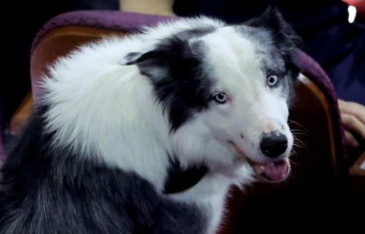 Messi, en los Oscar.