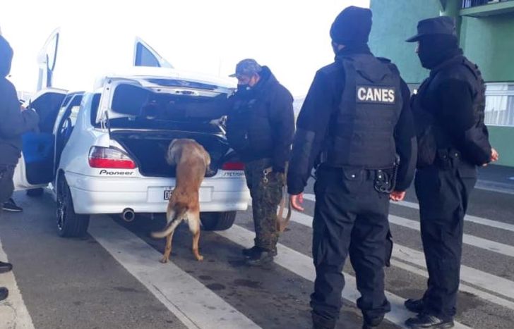 Un perro de rastreo detectó la droga.