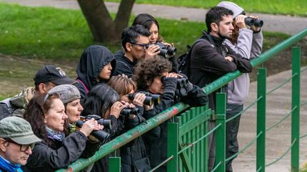 El curso incluye avistamientos y salidas coordinadas por especialistas.