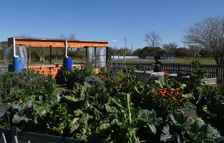 El Finky tiene una huerta y están armando un invernáculo.