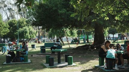 Diario La Unión | Cuidar lo que tenemos no solo es una cuestión estética o ambiental.