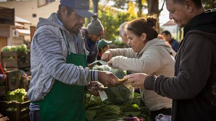 Los vecinos podrán comprar verduras naturales, sin agrotóxicos, y económicas.