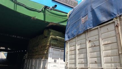 El camión no pudo cruzar el túnel.