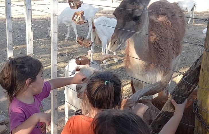 Una reserva las invitó a que las tres se encarguen de alimentar a los animales del lugar.