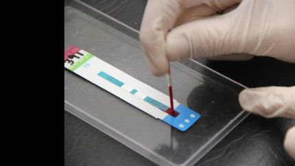 en octubre hay tres fechas disponibles.