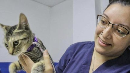 El Hospital de Animales es un lugar modelo en la región.