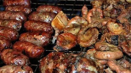 Se detectó salmonella y shigella, dos bacterias muy dañinas para el organismo.