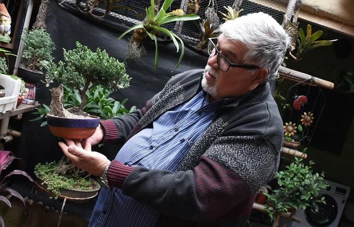 Héctor expondrá y venderá ejemplares de bonsái durante las distintas fechas de la feria.