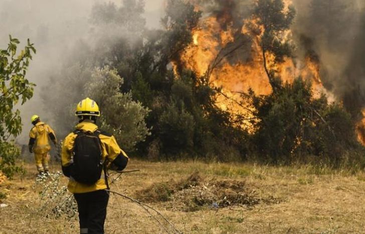Hay más de 600 mil hectáreas quemadas.