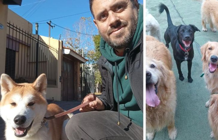 Recomienda tomar conciencia respecto a la educación canina.