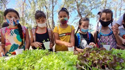 Los más chicos también aprenden a cultivar.