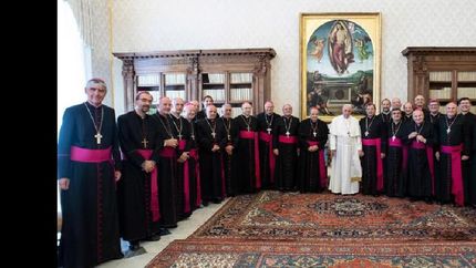 El Sumo Pontifice saludó a los prelados que le contaron realidad de sus diócesis.