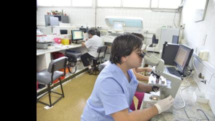 cada vez se realizan mas estudios clinicos en el santamarina