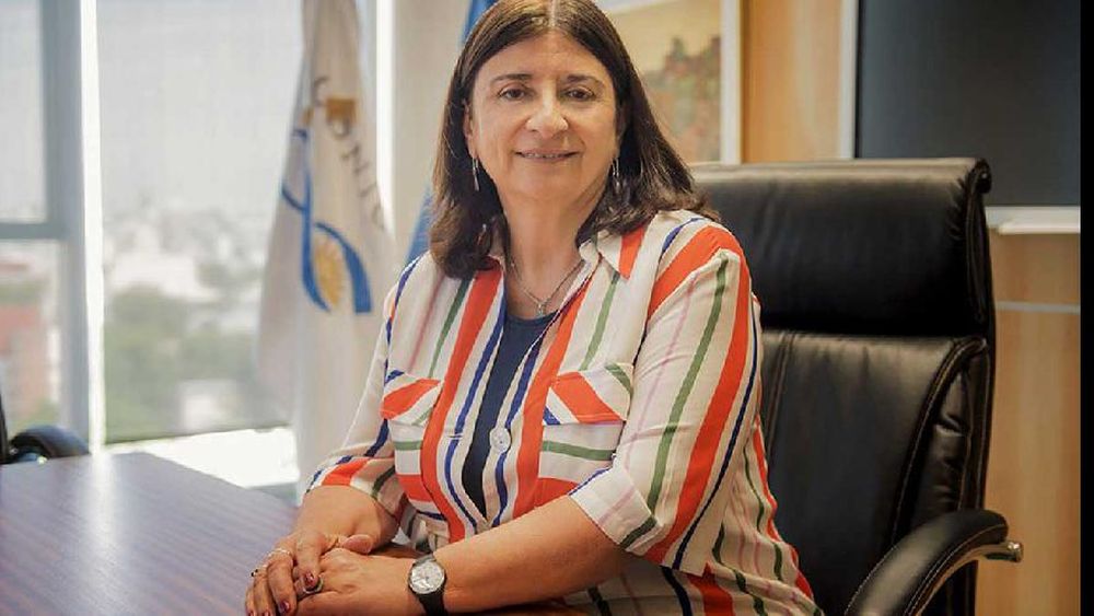 Ana Franchi, presidenta del Conicet, dijo que las becas son una prioridad