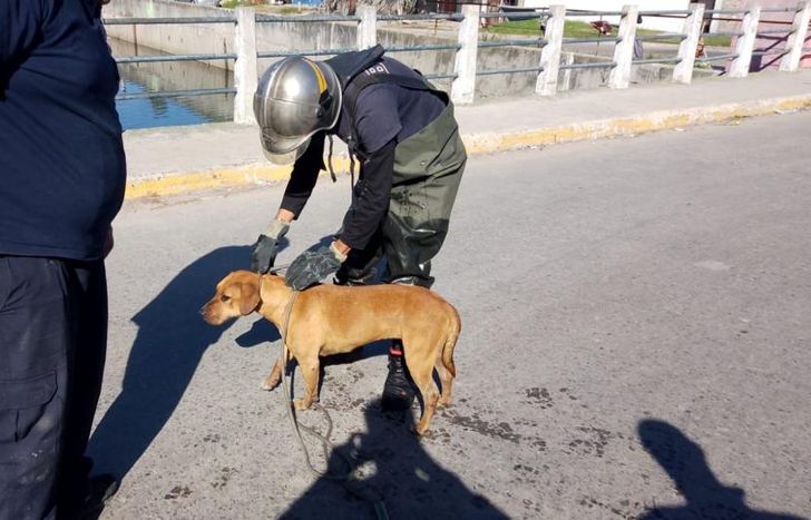 El momento del rescate.