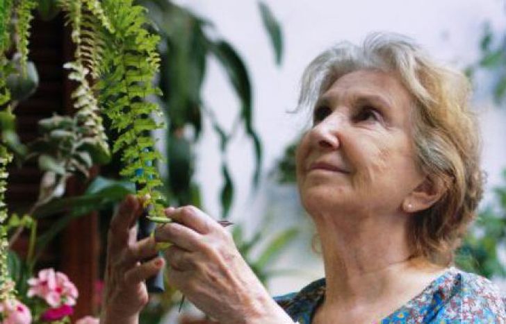 Norma Aleandro, en una gran papel.
