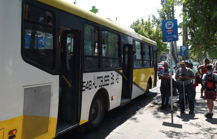 Varias líneas que circulan por Lomas se sumaron al paro.
