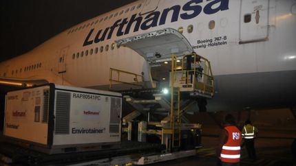 Llegaron vacunas de Sinopharm y Astrazeneca.