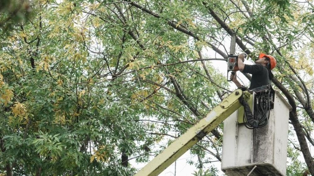 El objetivo es que las calles estén más iluminadas.