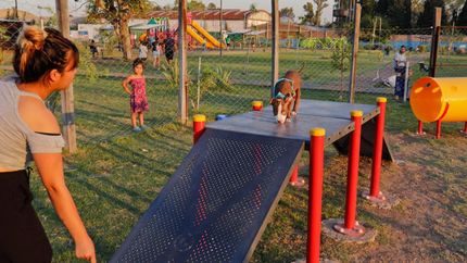 Los juegos en las plazas para los perritos.