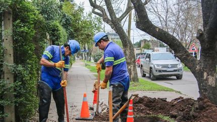 La empresa AySA comunicó que habrá cortes de agua en Lomas la próxima semana.