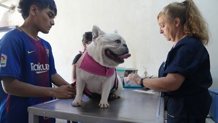 Arrancan los operativos para fortalecer la atención en los barrios de Lomas.