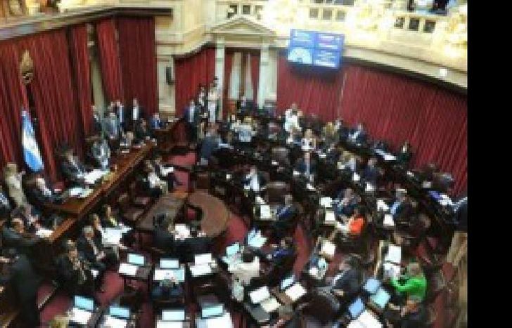 senado
