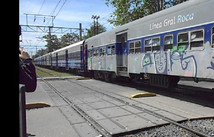 Este año se graffitearon 92 trenes del Roca.