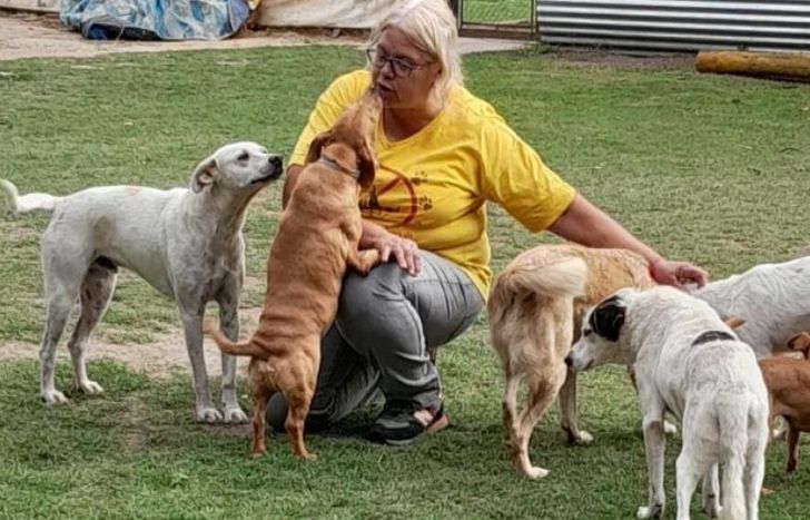 Para brindar amor a los animales que viven en el refugio.