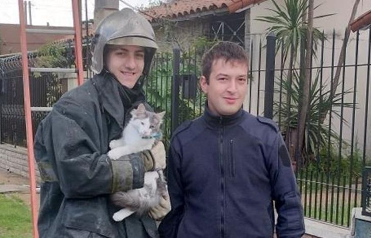 Los bomberos que participaron del rescate.