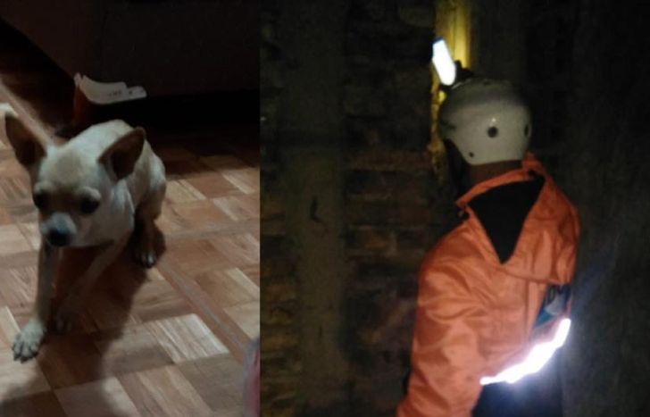 Defensa Civil de Lomas trabajó dos horas para salvar al perrito.