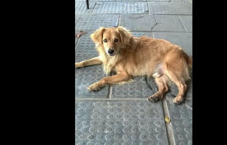 necesitan todo tipo de ayuda.