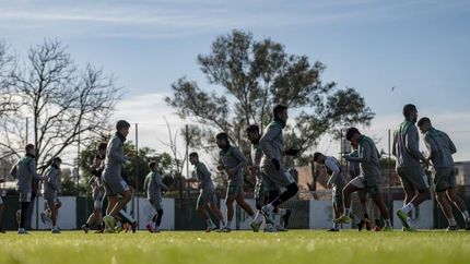 Se vienen más salidas en el plantel.