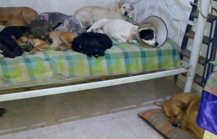 Están trabajando para salvarlos a ellos.