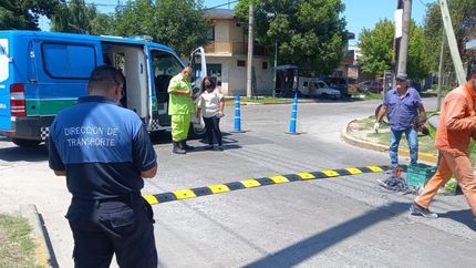 En las últimas semanas colocaron varios reductores de velocidad.