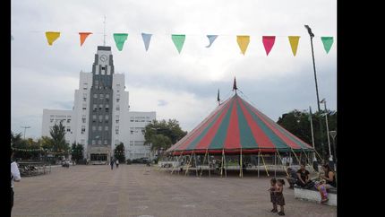 se celebra el dia del circo en la grigera se celebra el dia del circo en la grigera