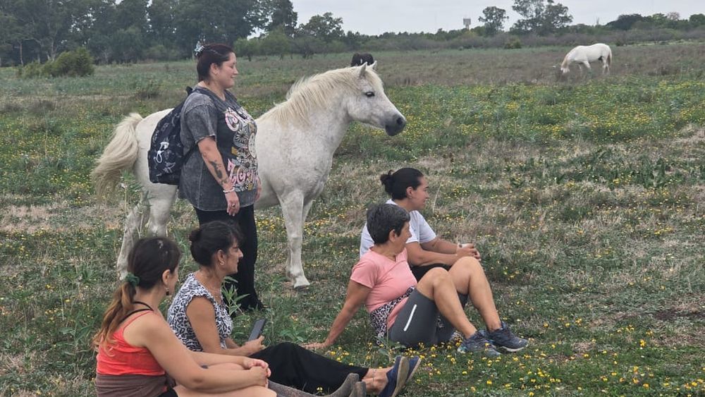 En el refugio viven decenas de caballos: todos ellos tienen una segunda oportunidad de vida tras haber sufrido maltrato animal. En el refugio viven decenas de caballos: todos ellos tienen una segunda oportunidad de vida tras haber sufrido maltrato animal.