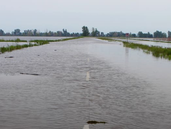 El Niño en el conurbano bonaerense: los peligros que podría transitar la región.
