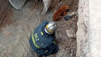 El operativo fue este domingo.