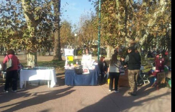 pasaron de la plaza a la realidad virtual.